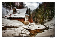 20110117_35_hdr_m