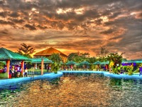 Hdr305