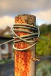 Rusty-pole