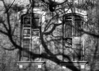Shutters_shadows