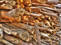 Hdr346