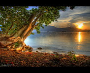 Dsc_0177_8_f9_tongemapped