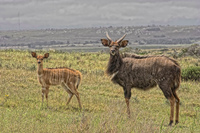 Hdr-img_2498_00