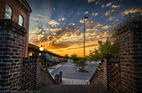 Savannah-sunset
