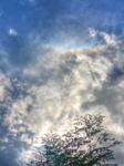 Circumzenithal-arc