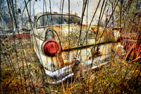 -55-ford