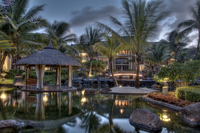 Garden-reflection