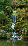 Tea-garden-falls