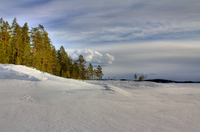 Snow