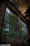 Workshop-windows