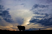Last-light-on-the-farm
