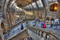 Natural-history