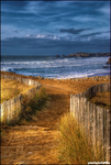 Trail-to-the-beach