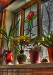 Our-kitchen-window