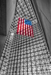 Stars-stripes-in-jfk