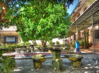 Under-the-mango-tree