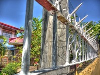 Thorned-wall