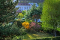 Luci-di-primavera