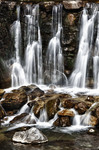 Agua