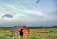 Nipa-hut