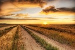 The-lonely-road-to-the-dinosaur-dig
