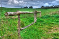 Green-meadow