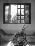 Black-in-white