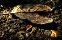 Leaf-and-stone