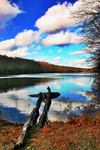 Gungywamp-lake