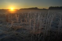 Mesicni-krajina