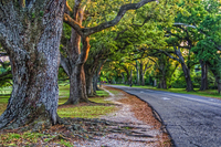 Walking-trail