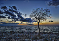 Sunset-at-land-ii