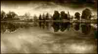Reflections