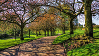 A-walk-in-the-park-