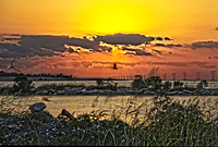 Lake-pontchartrain