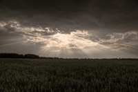 Breaking-through-the-rain-clouds
