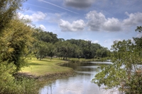 Perfect-bayou