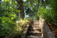 Falling-up-stairs