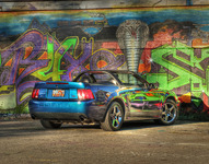 Mystic-cobra-mustang