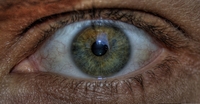 My-eye