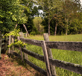 Old-fence