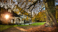 Museum-gardens