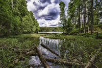 Troll-lake