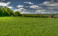 Sommerfield
