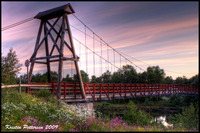 The-pink-bridge
