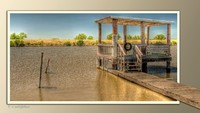 Born-on-the-bayou