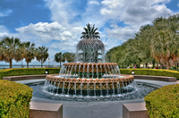 Pineapple-fountain
