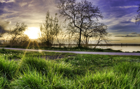 Bountiful-lake-sunset-grass