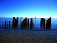 Sculpture-by-the-sea-