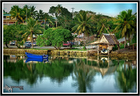 Tropical-view-